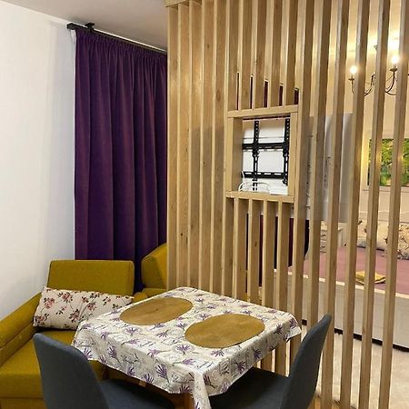Apartament Gabriela 39 Baia Mare Buitenkant foto