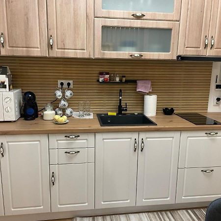 Apartament Gabriela 39 Baia Mare Buitenkant foto