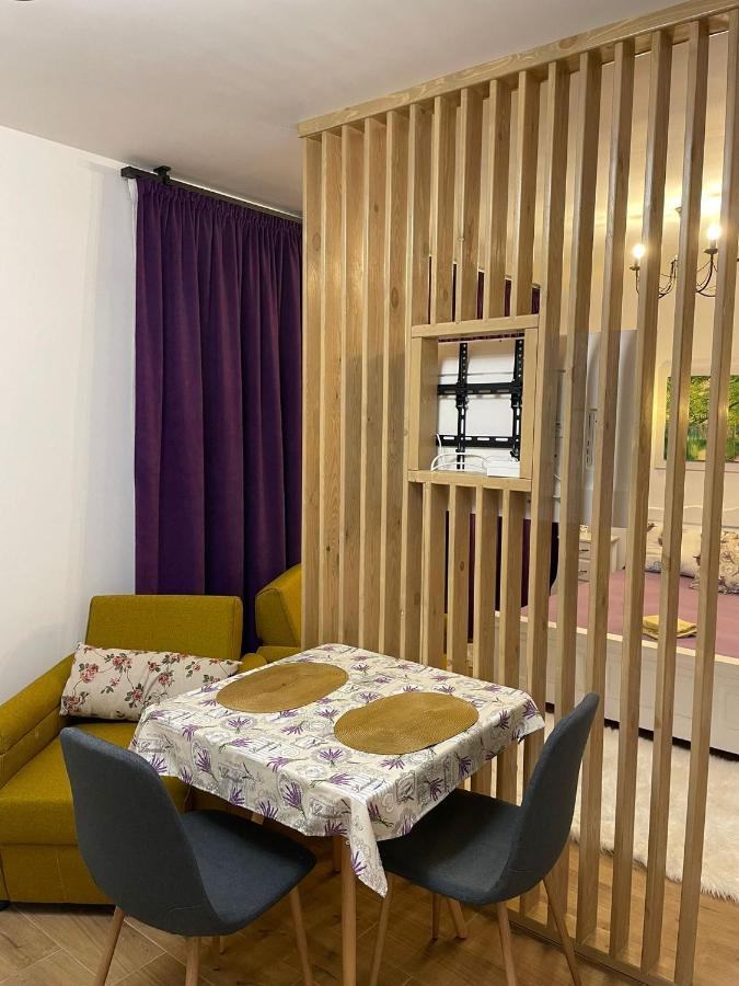Apartament Gabriela 39 Baia Mare Buitenkant foto