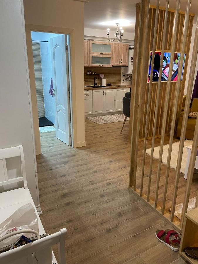 Apartament Gabriela 39 Baia Mare Buitenkant foto