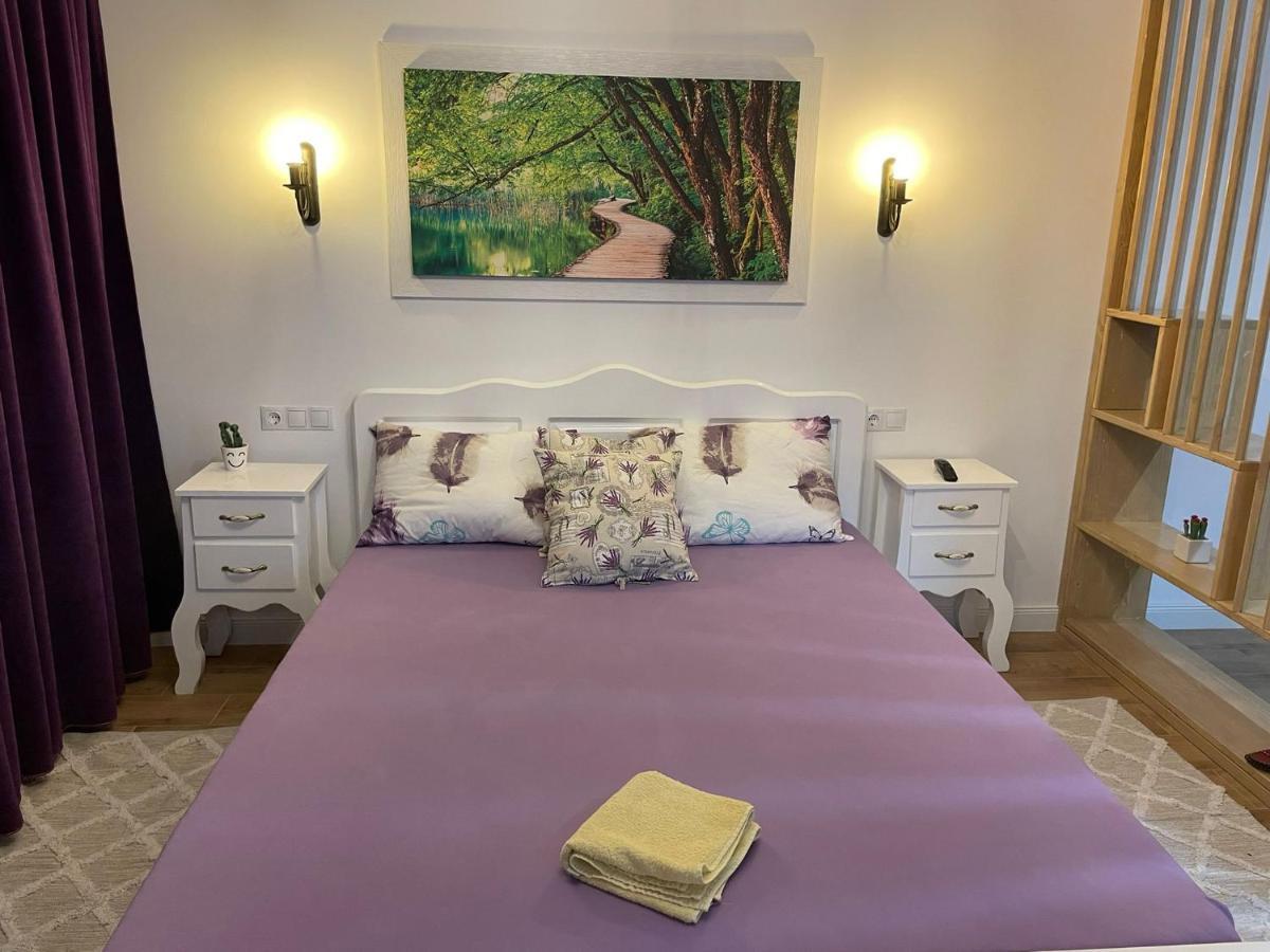 Apartament Gabriela 39 Baia Mare Buitenkant foto