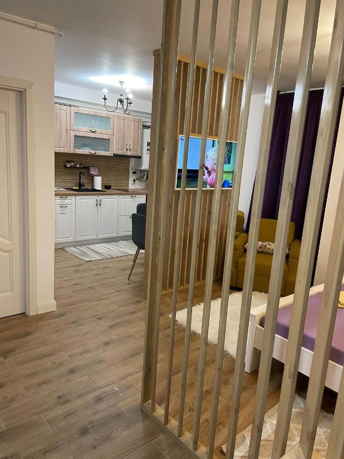 Apartament Gabriela 39 Baia Mare Buitenkant foto
