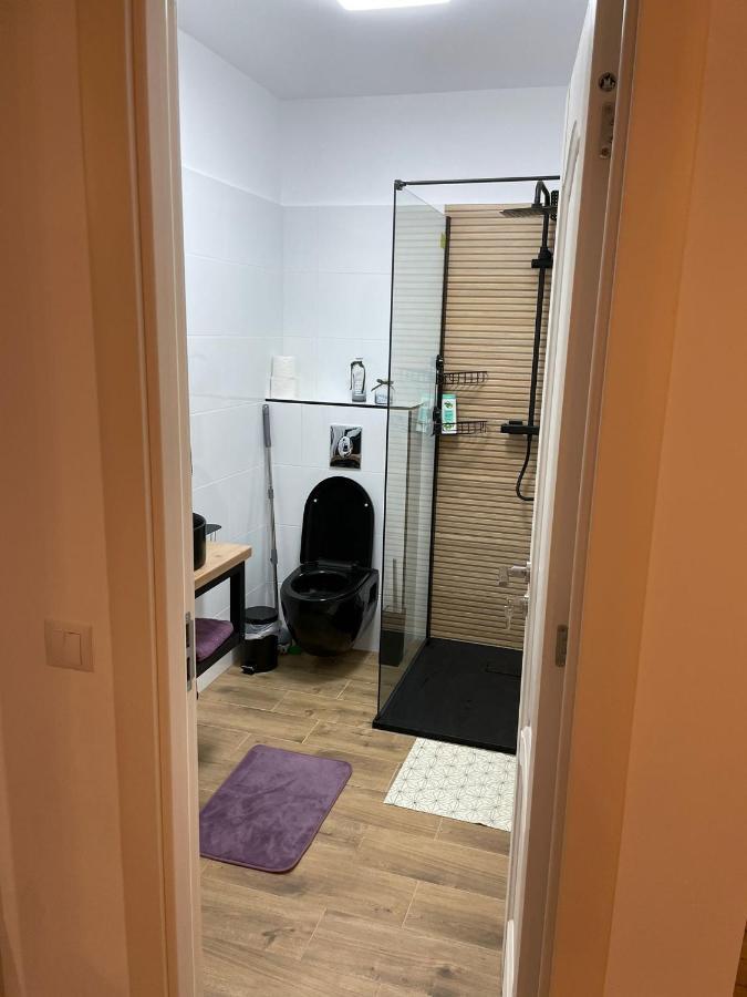 Apartament Gabriela 39 Baia Mare Buitenkant foto