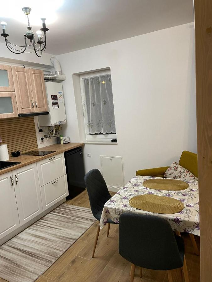 Apartament Gabriela 39 Baia Mare Buitenkant foto