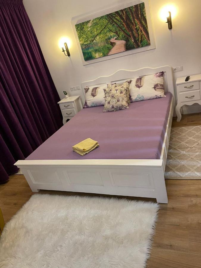 Apartament Gabriela 39 Baia Mare Buitenkant foto