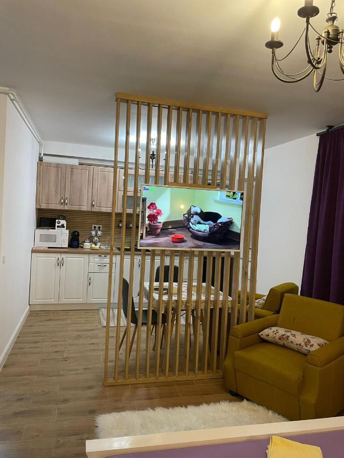 Apartament Gabriela 39 Baia Mare Buitenkant foto