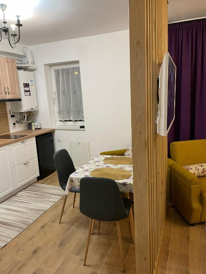 Apartament Gabriela 39 Baia Mare Buitenkant foto
