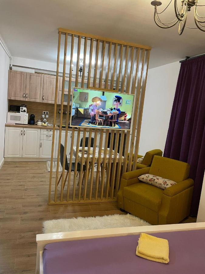 Apartament Gabriela 39 Baia Mare Buitenkant foto