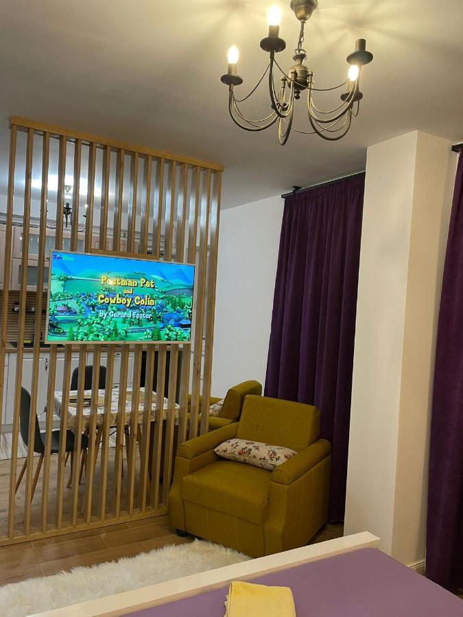 Apartament Gabriela 39 Baia Mare Buitenkant foto