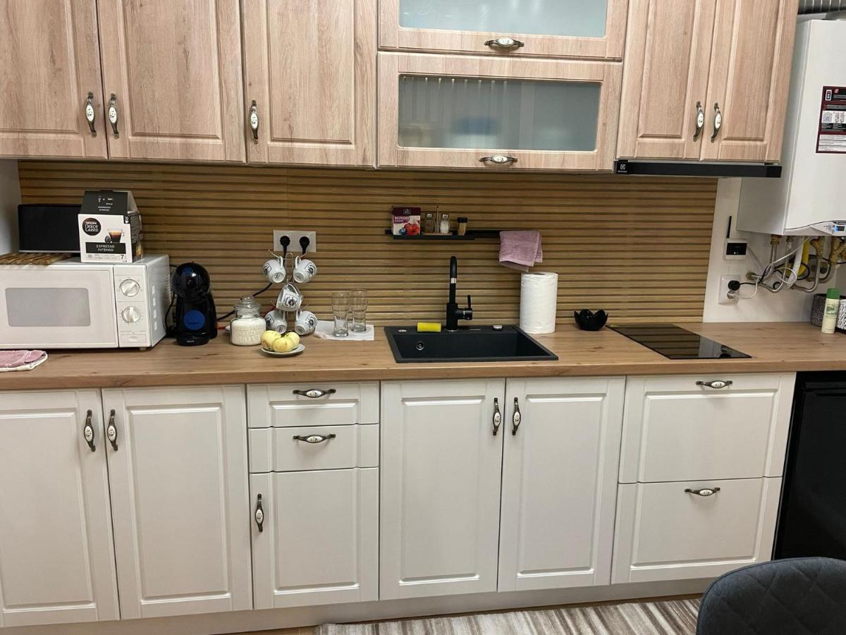 Apartament Gabriela 39 Baia Mare Buitenkant foto