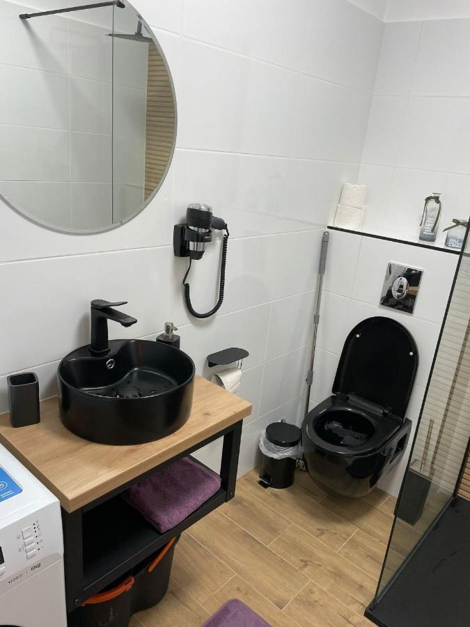 Apartament Gabriela 39 Baia Mare Buitenkant foto