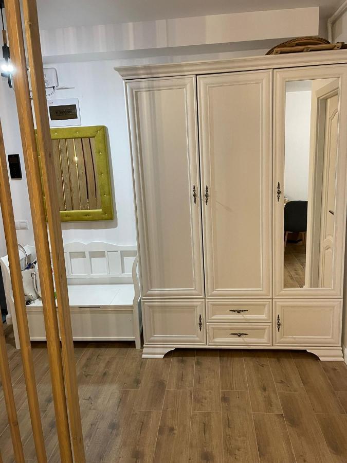 Apartament Gabriela 39 Baia Mare Buitenkant foto